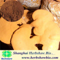 Organic Shell broken Lingzhi/Ganoderma Lucidum Spore Powder